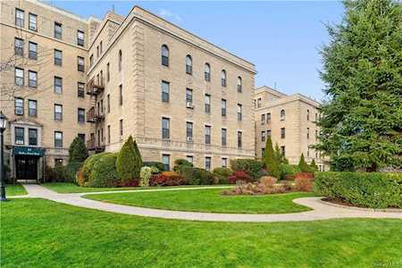 43 Calton Road #4K New Rochelle, NY 10804