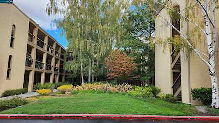 1501 Ptarmigan Drive Walnut Creek, CA 94595