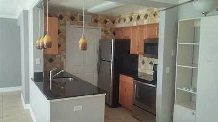 3305 Haviland Ct #102 Palm Harbor, FL 34684