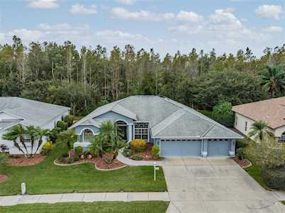 12122 Walstone Ct Trinity, FL 34655