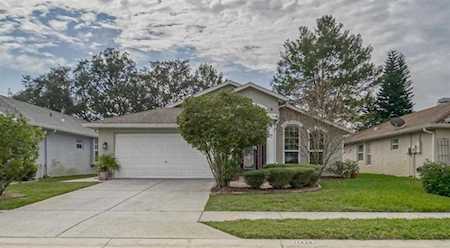 11428 Dorian Ct New Port Richey, FL 34654