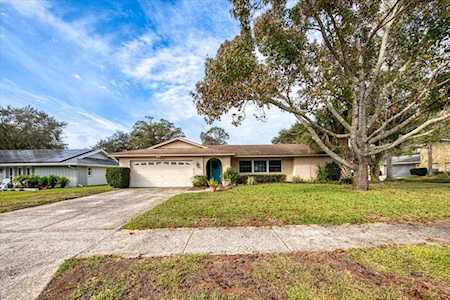 933 Winding Oaks Dr Palm Harbor, FL 34683