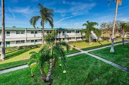 5216 81st St N #17 St. Petersburg, FL 33709