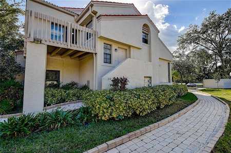 315 Los Prados Dr #315 Safety Harbor, FL 34695