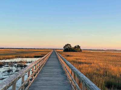 1629 Prince Edward St Mount Pleasant, SC 29466