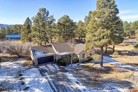 50 Redwood Drive Pagosa Springs, CO 81147