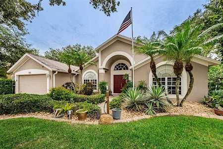 1532 Jutland Dr Trinity, FL 34655