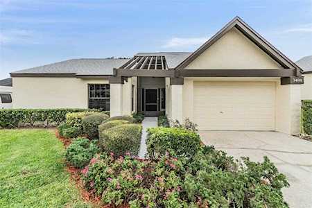 3488 Woodridge Ln Palm Harbor, FL 34684