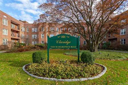 101 Old Mamaroneck Road #3D1 White Plains, NY 10605