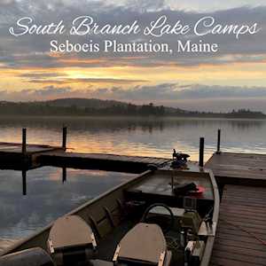 1174 Cove Rd Seboeis Plt, ME 04448