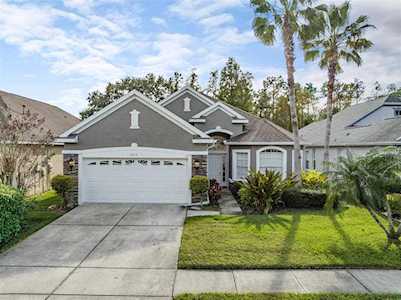9519 Greenpointe Dr Tampa, FL 33626