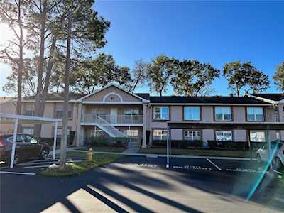 6630 Spring Flower Dr #21 New Port Richey, FL 34653