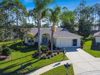 11522 Alden Ct Hudson, FL 34667