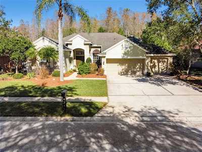4345 Fallbrook Blvd Palm Harbor, FL 34685