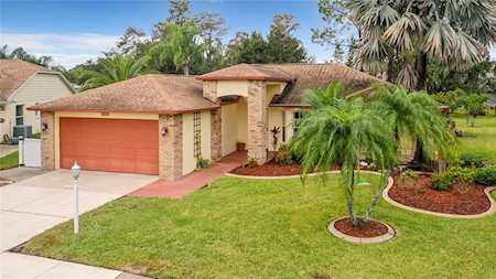 1427 Fallowfield Dr Trinity, FL 34655