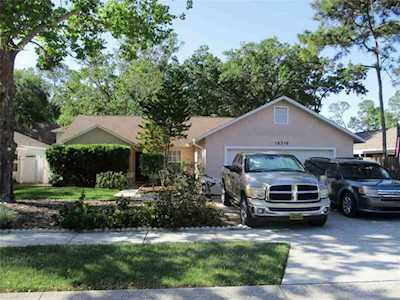 10310 Copperwood Dr New Port Richey, FL 34654