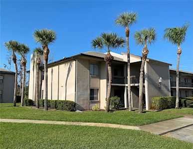 131 Camille Ct #07 Oldsmar, FL 34677