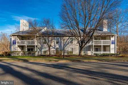 11942 Cardamom Dr #11942 Woodbridge, VA 22192