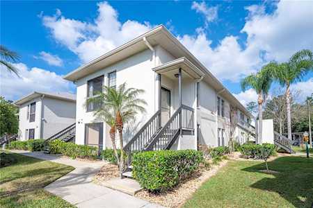 3374 Mermoor Dr #2203 Palm Harbor, FL 34685