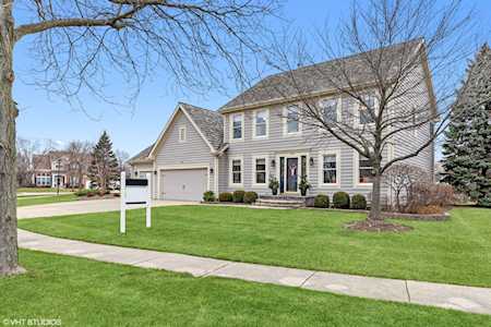 246 W Wellington Dr Palatine, IL 60067