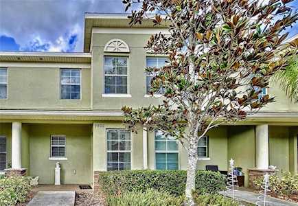 9806 Trumpet Vine LOOP Trinity, FL 34655