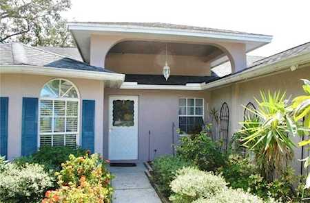 401 Tangerine Dr Oldsmar, FL 34677