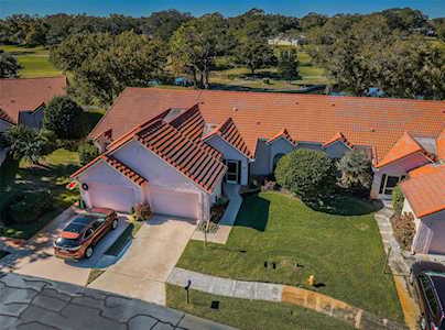 1146 Rustlewood Ct Palm Harbor, FL 34684