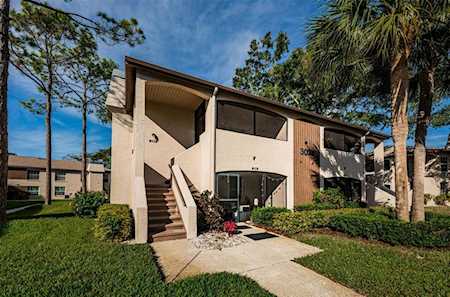 3024 Bonaventure CIRCLE #204 Palm Harbor, FL 34684