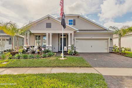3021 Borassus Drive New Smyrna Beach, FL 32168