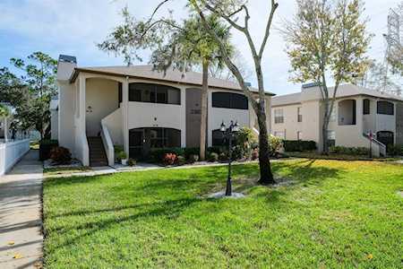 2987 Bonaventure CIRCLE #101 Palm Harbor, FL 34684