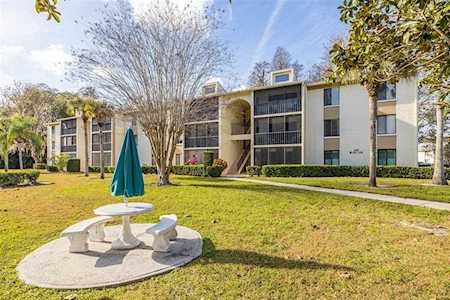 3161 Lake Pine WAY S #B3 Tarpon Springs, FL 34688