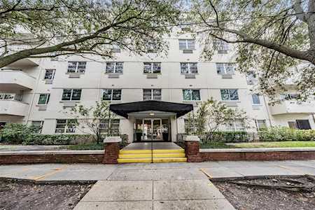 406 W Azeele St #107 Tampa, FL 33606