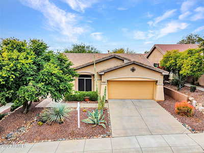 41324 N Belfair Way Anthem, AZ 85086