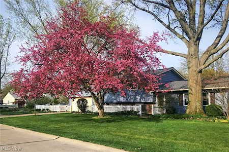 319 Woodstock Ave Avon Lake, OH 44012