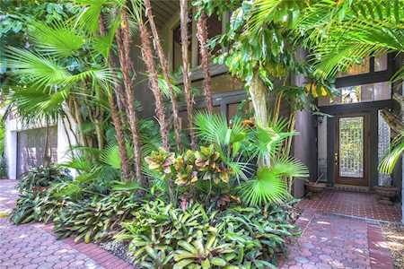 14506 Anchoret Rd Tampa, FL 33618