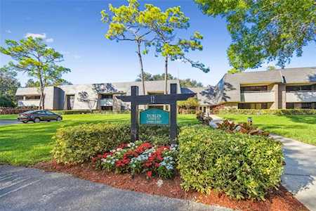 36750 Us Highway 19 N #12212 Palm Harbor, FL 34684