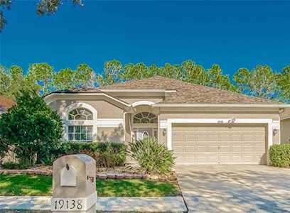 19138 Chemille Dr Lutz, FL 33558