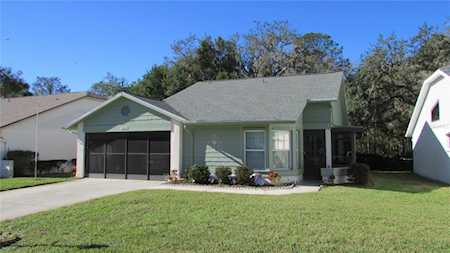 11533 Rose Tree Dr New Port Richey, FL 34654