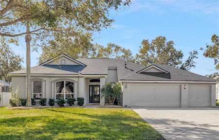 2805 Clover Dew Ct Valrico, FL 33596