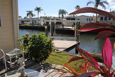 18675 Us Highway 19 N #231 Clearwater, FL 33764