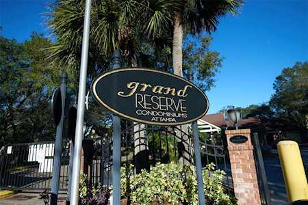 8709 Fancy Finch Dr #203 Tampa, FL 33614