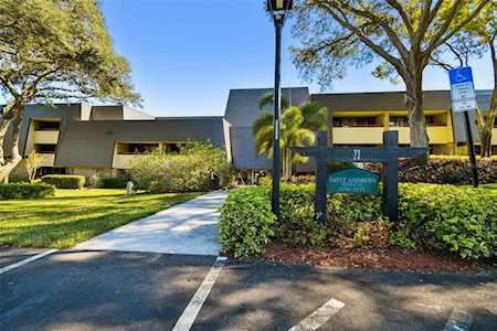 36750 Us Highway 19 N #23303 Palm Harbor, FL 34684