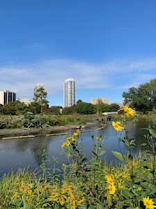 2020 N Lincoln Park West #36E Chicago, IL 60614