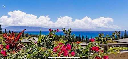 500 Kapalua Dr #21T1-2 Lahaina, HI 96761