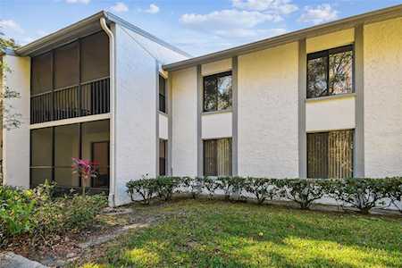 1326 Pine Ridge CIRCLE E #B1 Tarpon Springs, FL 34688