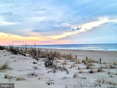 16 51st St #311 Ocean City, MD 21842