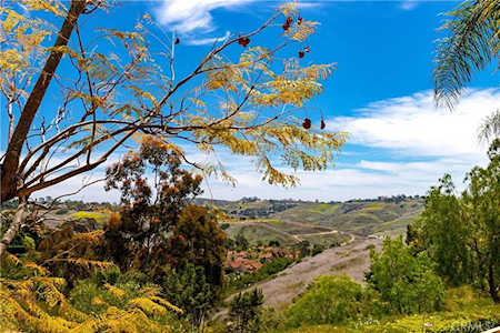 29 Fleurance St Laguna Niguel, CA 92677