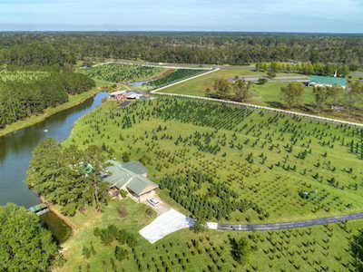 2867 Florida-Georgia Hwy Havana, FL 32333