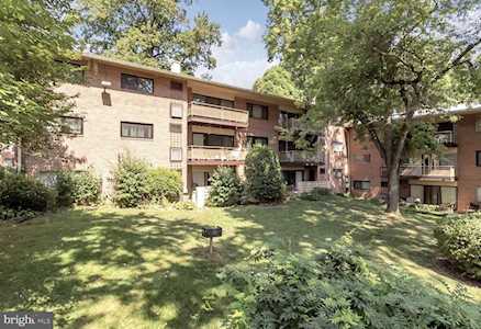 7358 Lee Hwy #102 Falls Church, VA 22046