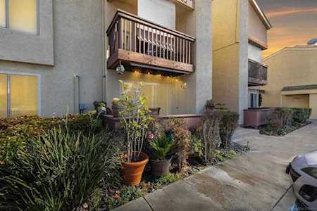 5966 Rancho Mission Rd #231 San Diego, CA 92108